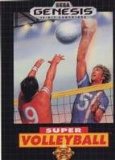 Super Volleyball (1991)