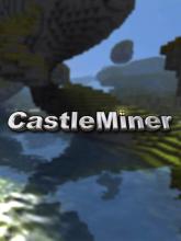 CastleMiner