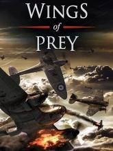 Wings of Prey on PC (Steam) Wings of Prey