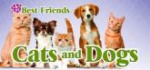 My Best Friends - Cats and Dogs