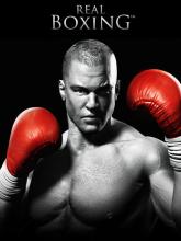 Real Boxing on PC (Steam) Real Boxing
