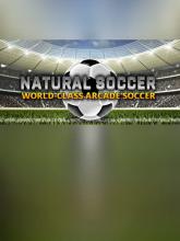 Natural Soccer on PC (Steam) Natural Soccer