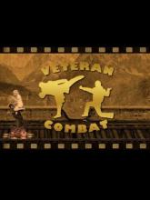 Veteran Combat on PC (Steam) Veteran Combat