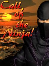 Call of the Ninja