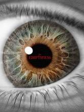 The Emptiness Deluxe Edition on PC (Steam) The Emptiness Deluxe Edition
