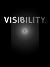 Visibility on PC (Steam) Visibility