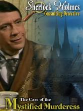 Sherlock Holmes Consulting Detective: The Case of the Mystified Murderess on PC (Steam) Sherlock Holmes Consulting Detective: The Case of the Mystified Murderess