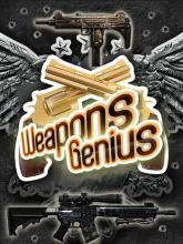 Weapons Genius on PC (Steam) Weapons Genius