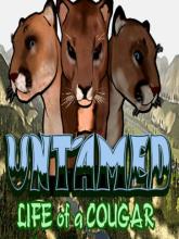 Untamed: Life of a Cougar on PC (Steam) Untamed: Life of a Cougar