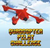 Quadcopter Pilot Challenge on Nintendo Network Quadcopter Pilot Challenge