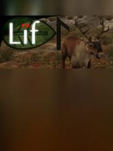 Lif on PC (Steam) Lif