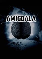 Amigdala