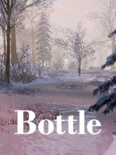 Bottle on PC (Steam) Bottle