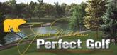 Jack Nicklaus Perfect Golf on PC (Steam) Jack Nicklaus Perfect Golf