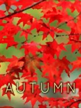 Autumn on PC (Steam) Autumn