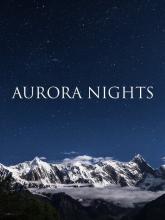 Aurora Nights on PC (Steam) Aurora Nights
