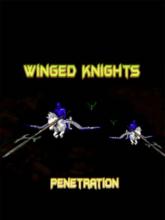 Winged Knights: Penetration on PC (Steam) Winged Knights: Penetration