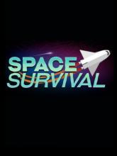 Space Survival on PC (Steam) Space Survival