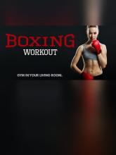 VR Boxing Workout on PC (Steam) VR Boxing Workout