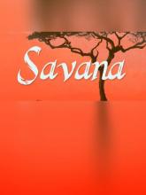Savana on PC (Steam) Savana