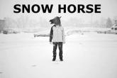 Snow Horse