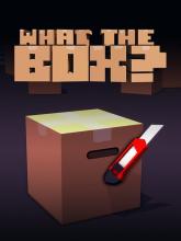 What The Box? on PC (Steam) What The Box?