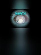 What Would You Do?