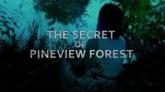 The Secret of Pineview Forest on PC (Steam) The Secret of Pineview Forest