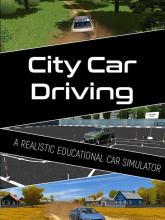 City Car Driving on PC (Steam) City Car Driving