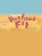 Perfect Fit - Totemland on PC (Steam) Perfect Fit - Totemland