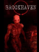 The Brookhaven Experiment on PlayStation Network The Brookhaven Experiment