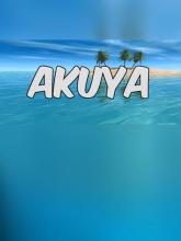 Akuya on PC (Steam) Akuya