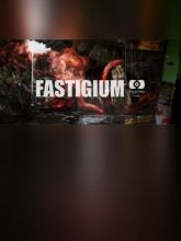 Fastigium on PC (Steam) Fastigium