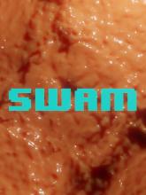 SWAM on PC (Steam) SWAM