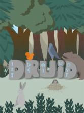 Druid on PC (Steam) Druid
