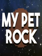 My Pet Rock on PC (Steam) My Pet Rock