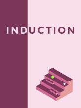 Induction on PC (Steam) Induction