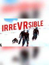 IrreVRsible on PC (Steam) IrreVRsible