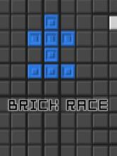 BRICK RACE on Nintendo Network BRICK RACE