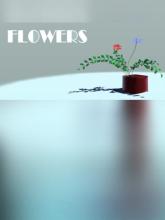 Flower Design on PC (Steam) Flower Design