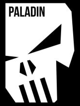 Paladin on PC (Steam) Paladin