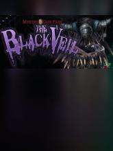 Mystery Case Files: The Black Veil Collector's Edition