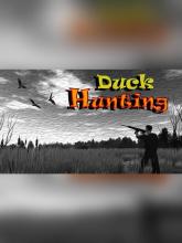 Duck Hunting on PC (Steam) Duck Hunting