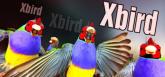 Xbird on PC (Steam) Xbird