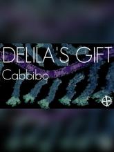 Delila's Gift on PC (Steam) Delila's Gift