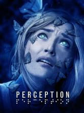 Perception on PC (Steam) Perception
