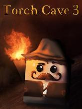 Torch Cave 3