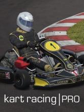 Kart Racing Pro on PC (Steam) Kart Racing Pro