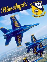 Blue Angels Aerobatic Flight Simulator on PC (Steam) Blue Angels Aerobatic Flight Simulator