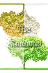 The Seasons on PC (Steam) The Seasons